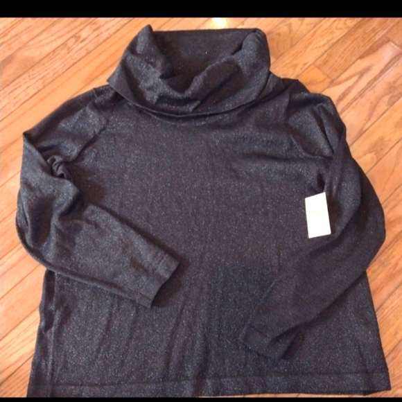 Coldwater Creek Sweaters - NWT Coldwater Creek Plus Women's Black Cowlneck Sweater